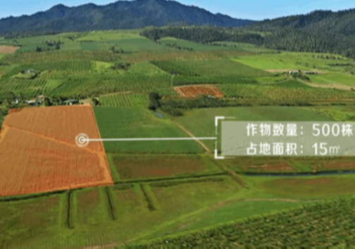 目标检测